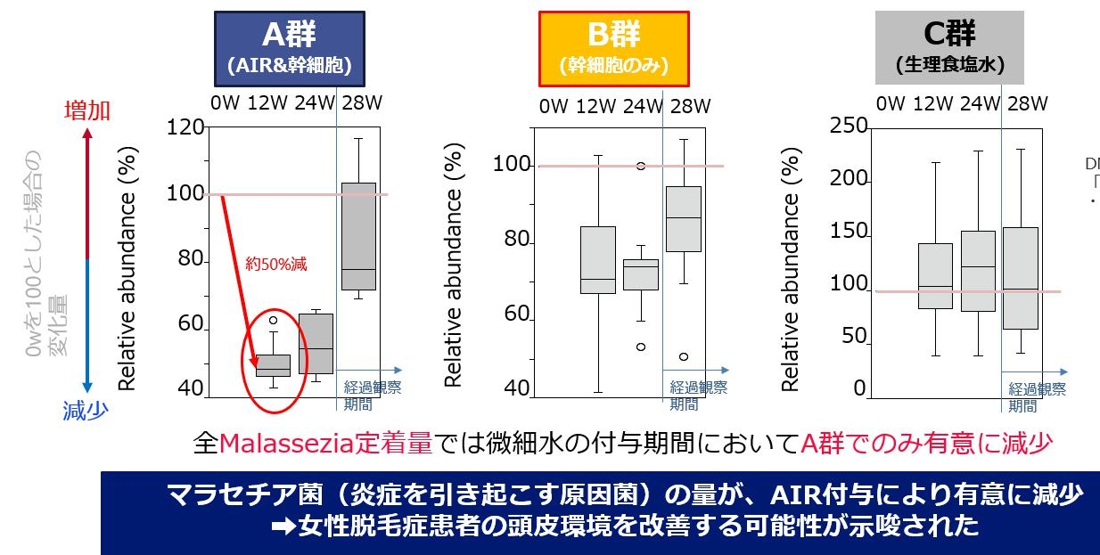 ウィンセル育毛